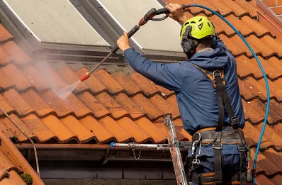 Démoussage et hydrofuge de toiture à Anglemont